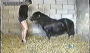 Melhor video porno da internet mostra um casal jovem fazendo coisas loucas por amor em seus filmes de porn - pónei,sexo de cachorro