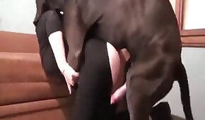 Melhor video porno da internet mostra um casal jovem fazendo coisas loucas por amor em seus filmes de porn - sexo de cachorro,sexo foda animal
